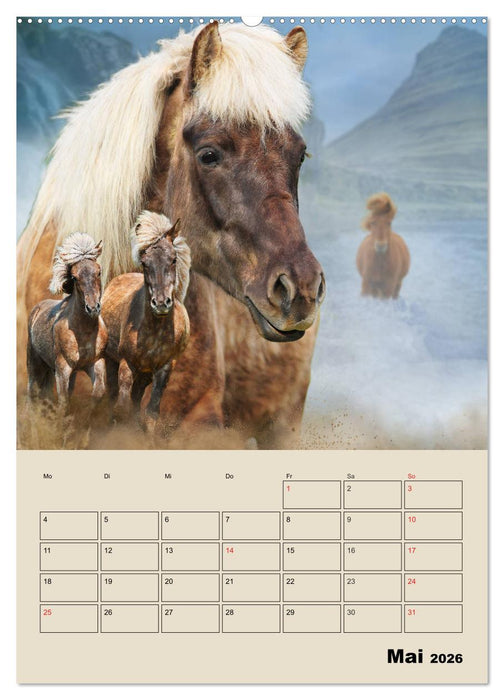 Pferdeträumereien - Traumbilder von Traumpferden (CALVENDO Premium Wandkalender 2026)