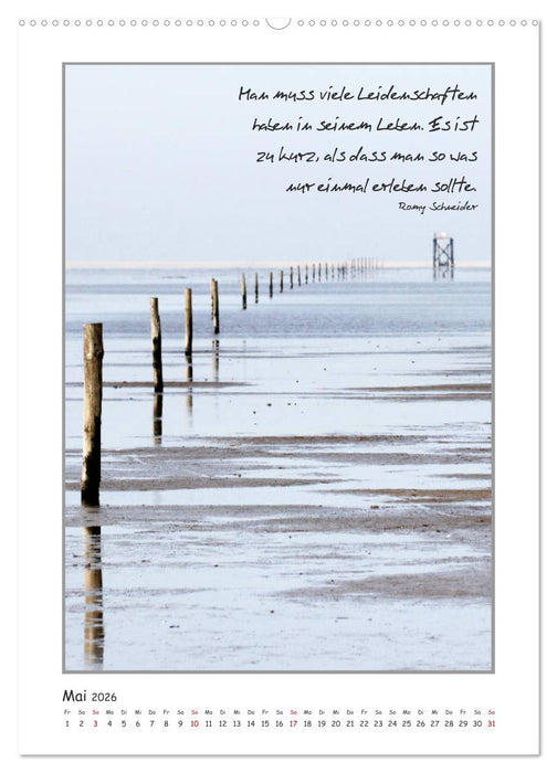 Weisheiten berühmter Frauen (CALVENDO Premium Wandkalender 2026)