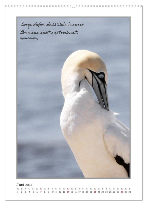 Weisheiten berühmter Frauen (CALVENDO Premium Wandkalender 2026)