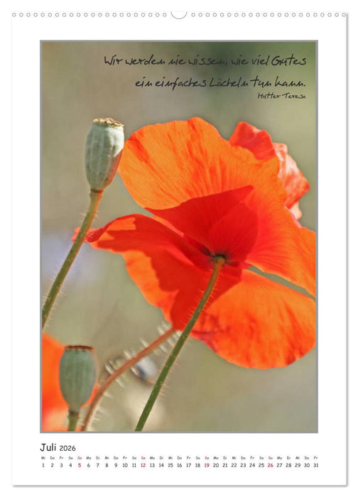 Weisheiten berühmter Frauen (CALVENDO Premium Wandkalender 2026)