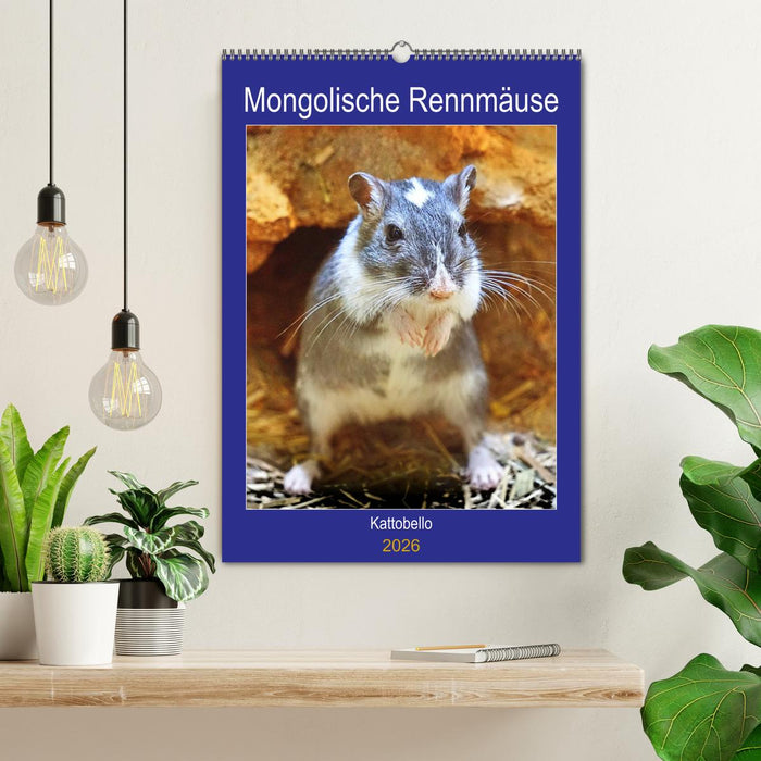 Mongolische Rennmäuse (CALVENDO Wandkalender 2026)