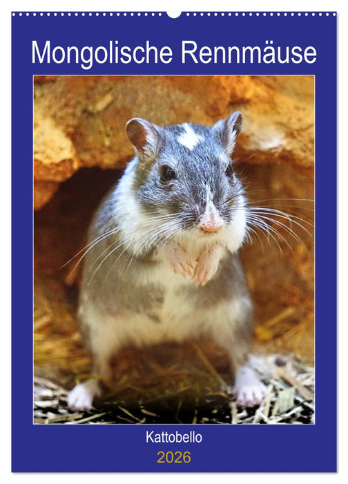 Mongolische Rennmäuse (CALVENDO Wandkalender 2026)