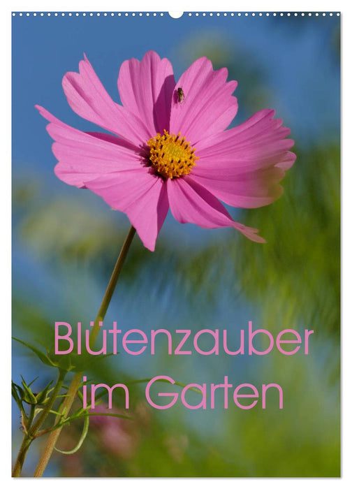Blütenzauber im Garten (CALVENDO Wandkalender 2026)