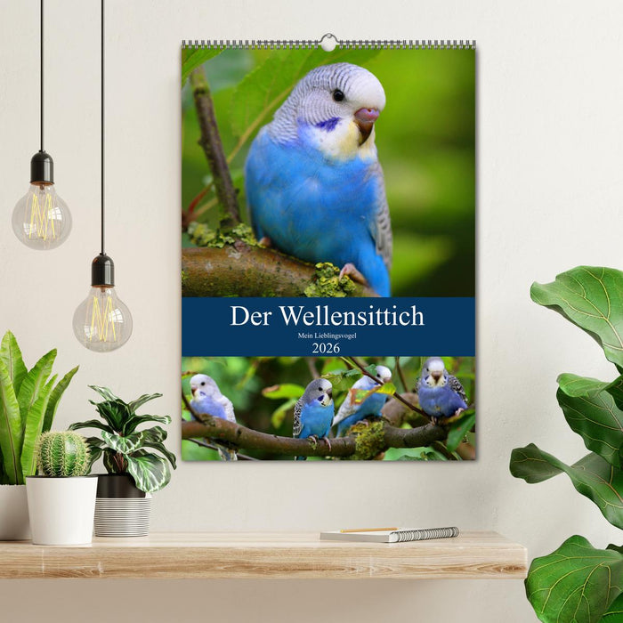 Der Wellensittich - Mein Lieblingsvogel (CALVENDO Wandkalender 2026)