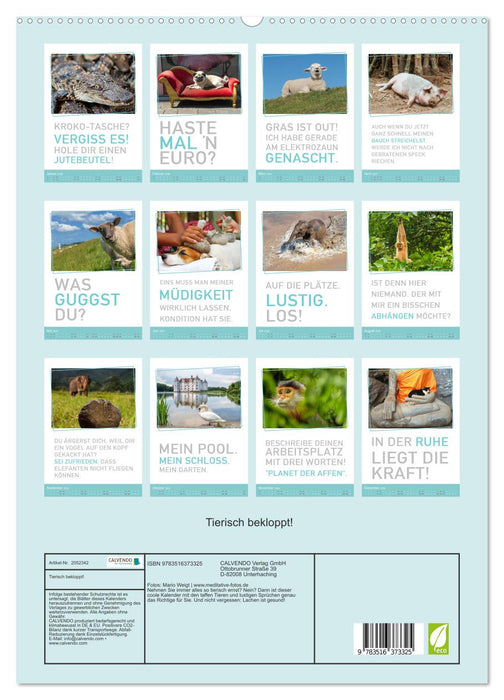 Tierisch bekloppt! (CALVENDO Premium Wandkalender 2026)