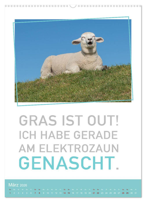 Tierisch bekloppt! (CALVENDO Premium Wandkalender 2026)