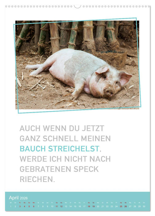 Tierisch bekloppt! (CALVENDO Premium Wandkalender 2026)