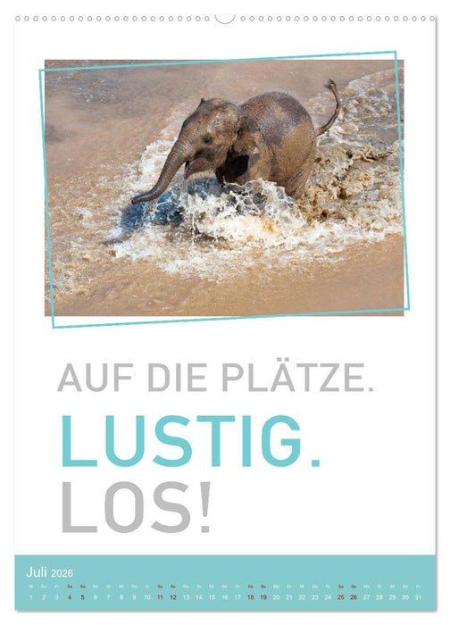 Tierisch bekloppt! (CALVENDO Premium Wandkalender 2026)