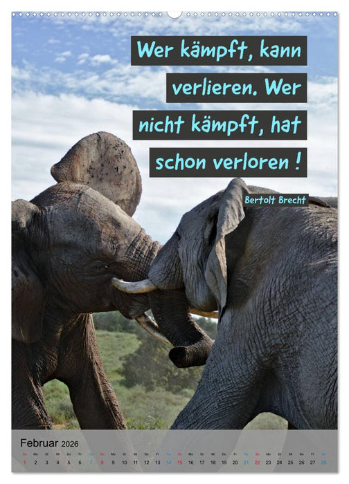 Aktiviere Deine Motivation Weisheiten und Sprüche (CALVENDO Premium Wandkalender 2026)