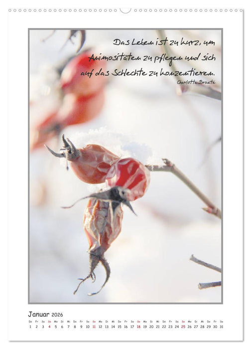 Weisheiten berühmter Frauen (CALVENDO Wandkalender 2026)