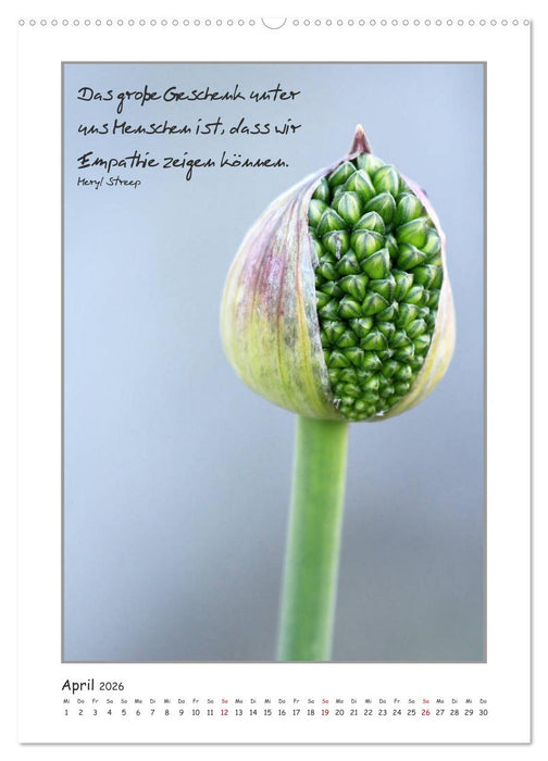 Weisheiten berühmter Frauen (CALVENDO Wandkalender 2026)