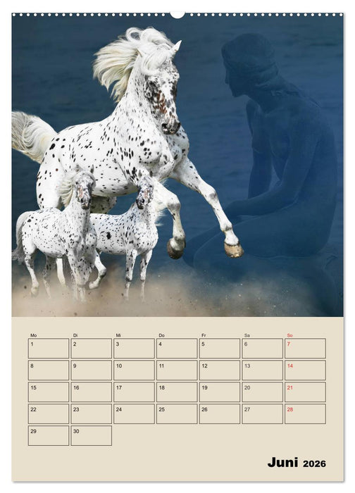Pferdeträumereien - Traumbilder von Traumpferden (CALVENDO Wandkalender 2026)