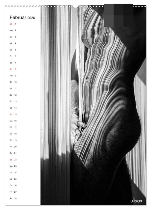 Männer AKT abstrakt (CALVENDO Wandkalender 2026)