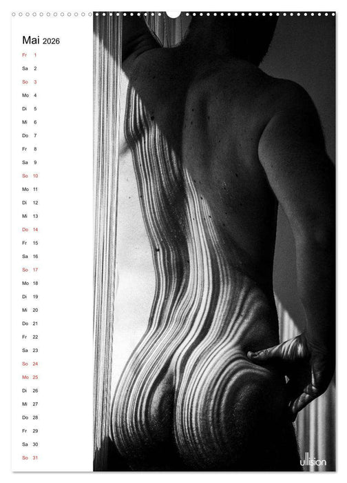 Männer AKT abstrakt (CALVENDO Wandkalender 2026)