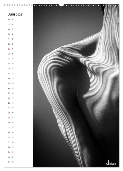 Männer AKT abstrakt (CALVENDO Wandkalender 2026)