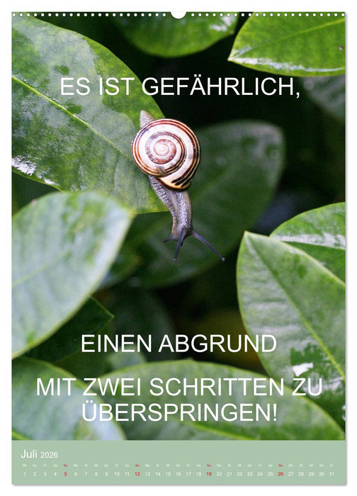 Nimm das Leben leicht, auch wenn's manchmal schwerfällt (CALVENDO Premium Wandkalender 2026)