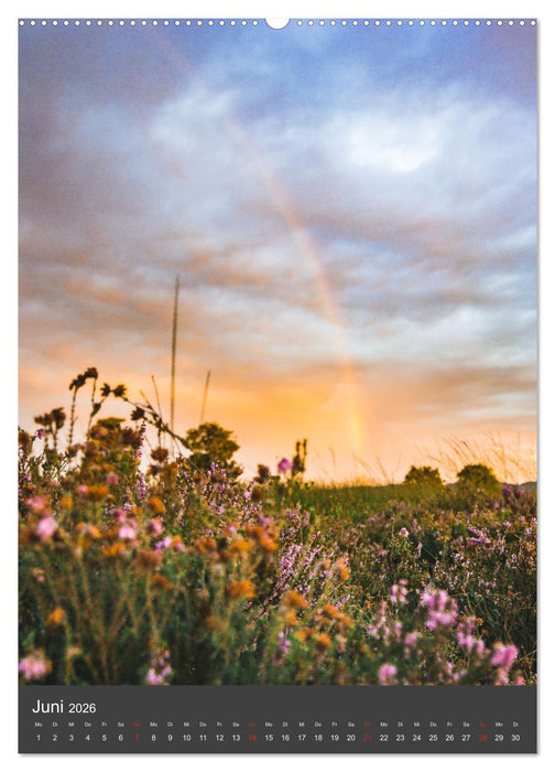 Das große Torfmoor (CALVENDO Premium Wandkalender 2026)