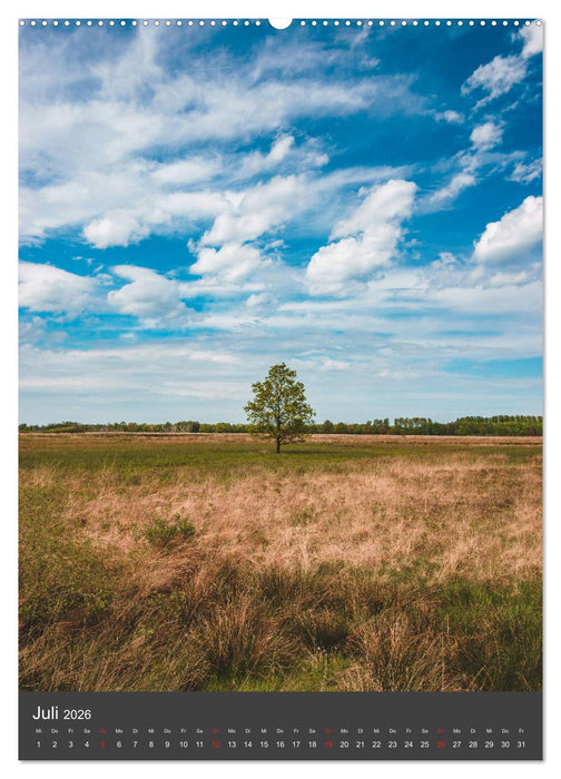 Das große Torfmoor (CALVENDO Premium Wandkalender 2026)
