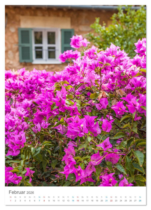 Lass uns träumen vom Süden (CALVENDO Premium Wandkalender 2026)