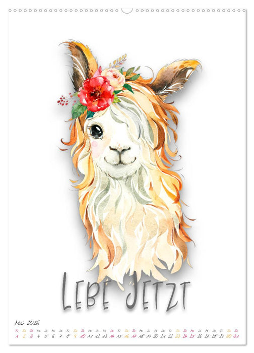 Freu Dich - Gute-Laune-Motivations-Kalender (CALVENDO Premium Wandkalender 2026)