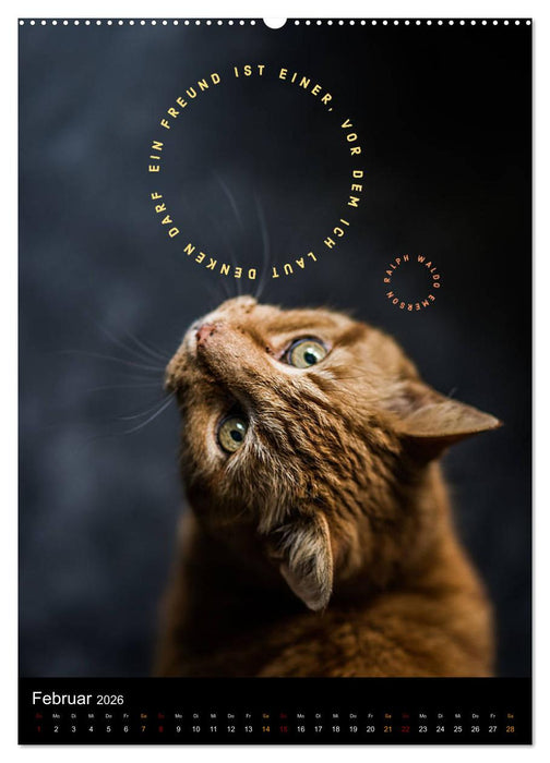 Freundschaft Weisheiten und Zitate (CALVENDO Premium Wandkalender 2026)