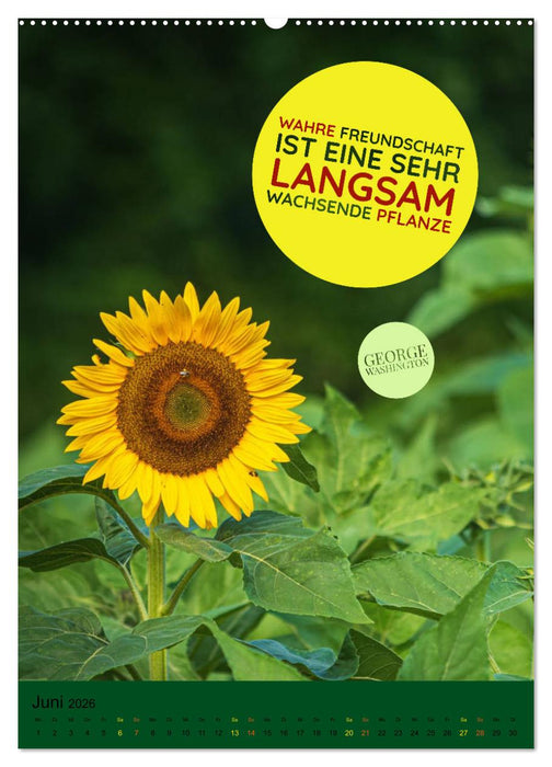 Freundschaft Weisheiten und Zitate (CALVENDO Premium Wandkalender 2026)