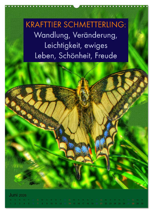 Afrikanische Krafttiere und deren Bedeutung (CALVENDO Wandkalender 2026)