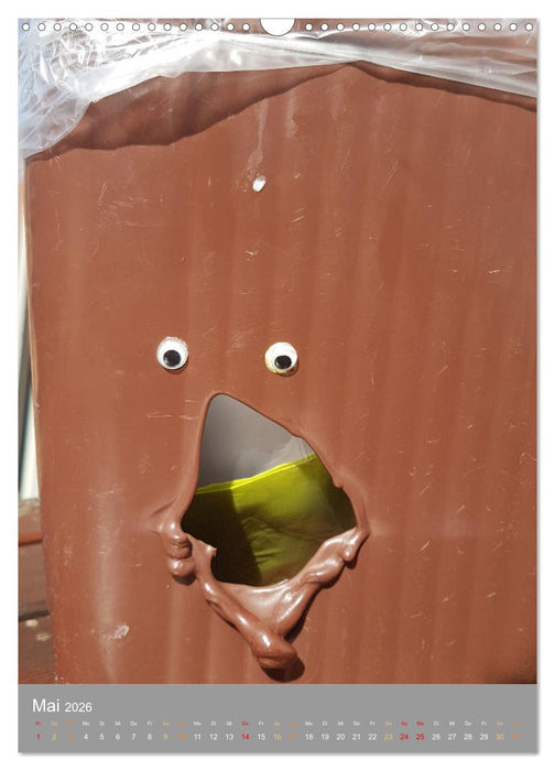 Gesichter im Alltag (CALVENDO Wandkalender 2026)