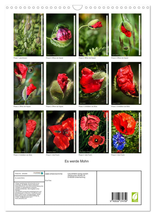 Es werde Mohn (CALVENDO Wandkalender 2026)