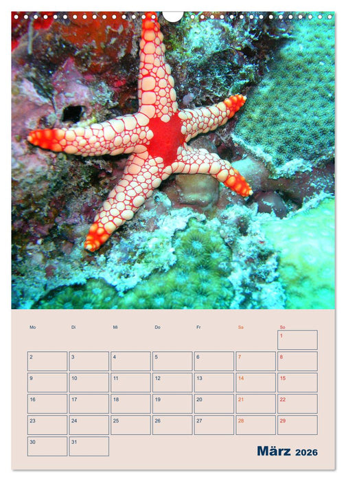 Mahe - Inselparadies der Seychellen (CALVENDO Wandkalender 2026)