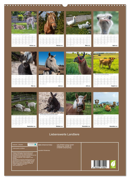 Liebenswerte Landtiere (CALVENDO Premium Wandkalender 2026)