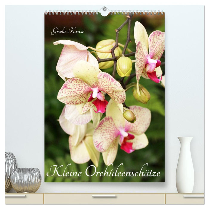 Kleine Orchideenschätze (CALVENDO Premium Wandkalender 2026)
