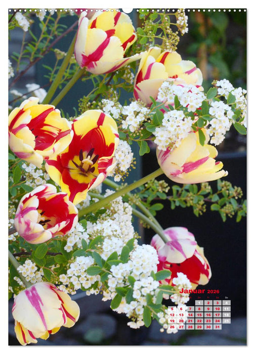 Ein buntes Tulpenjahr (CALVENDO Premium Wandkalender 2026)