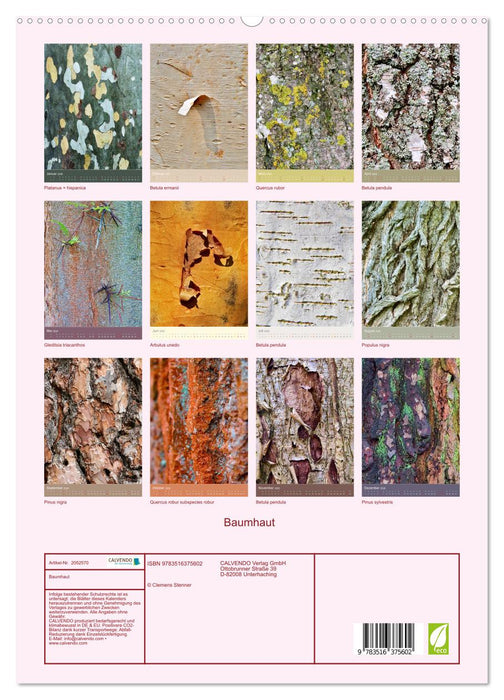 Baumhaut (CALVENDO Premium Wandkalender 2026)