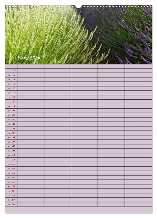 Naturzauber Lavendel - Familienplaner (CALVENDO Premium Wandkalender 2026)