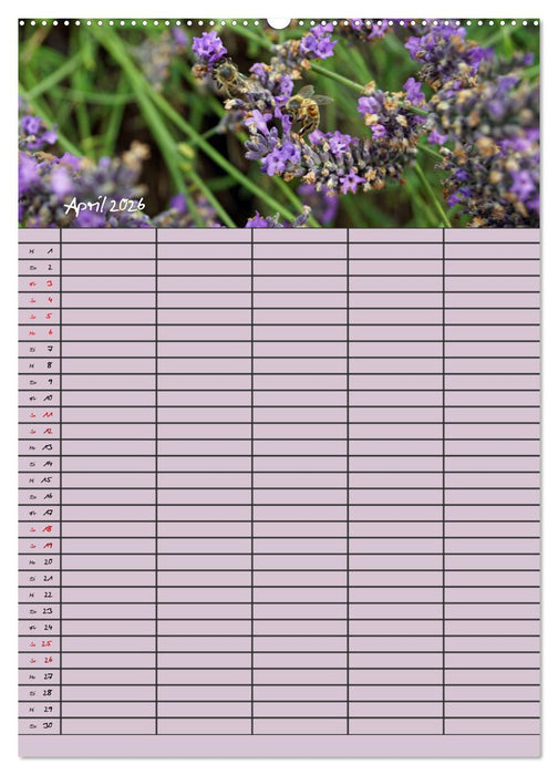 Naturzauber Lavendel - Familienplaner (CALVENDO Premium Wandkalender 2026)