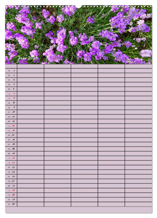 Naturzauber Lavendel - Familienplaner (CALVENDO Premium Wandkalender 2026)