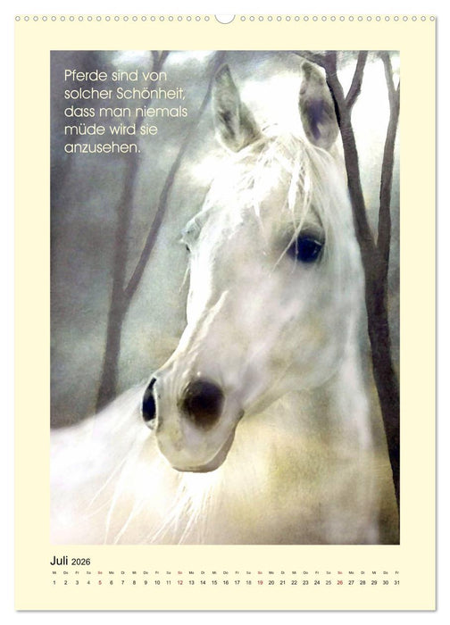 Reiterfreuden. Sprüche und Weisheiten für Pferdemenschen (CALVENDO Premium Wandkalender 2026)