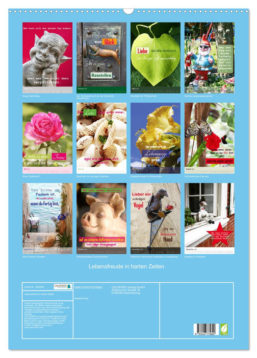 Lebensfreude in harten Zeiten (CALVENDO Wandkalender 2026)