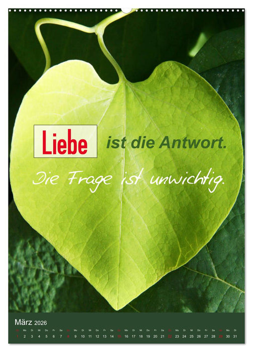 Lebensfreude in harten Zeiten (CALVENDO Wandkalender 2026)