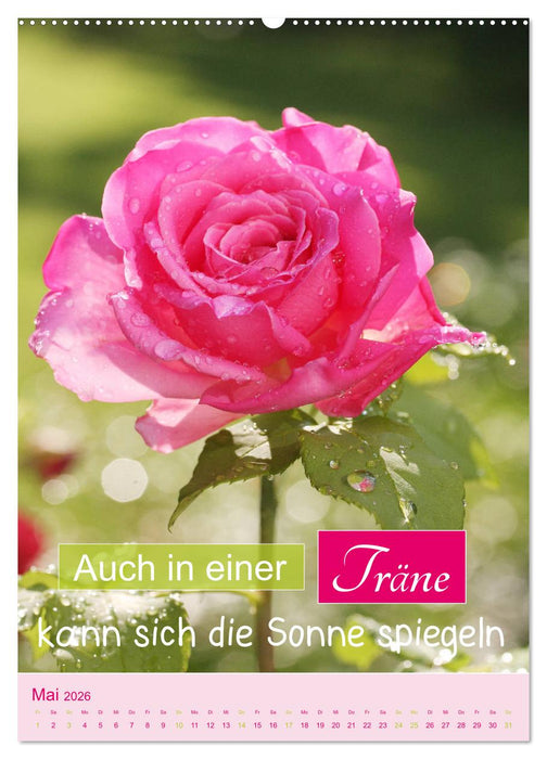 Lebensfreude in harten Zeiten (CALVENDO Wandkalender 2026)