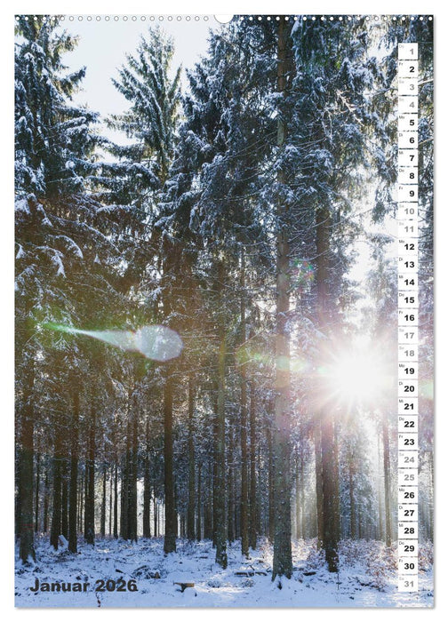 EIFEL - Kraftorte Wald und Wasser (CALVENDO Premium Wandkalender 2026)