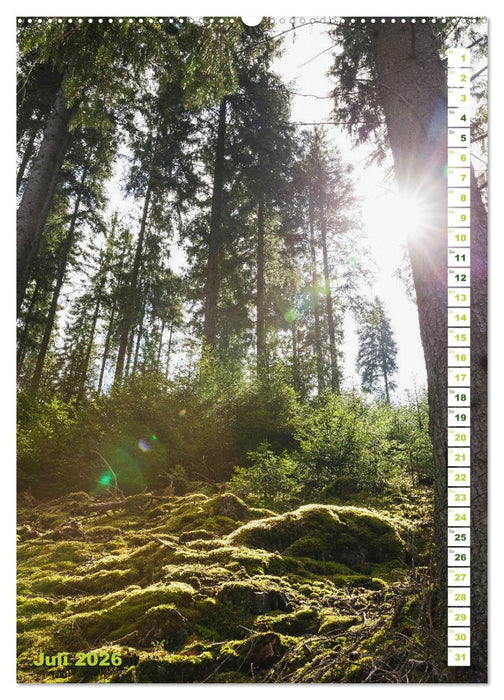 EIFEL - Kraftorte Wald und Wasser (CALVENDO Premium Wandkalender 2026)