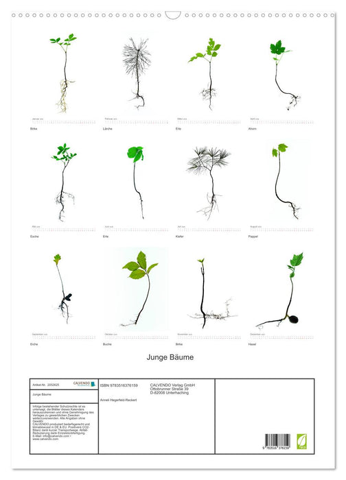 Junge Bäume (CALVENDO Wandkalender 2026)