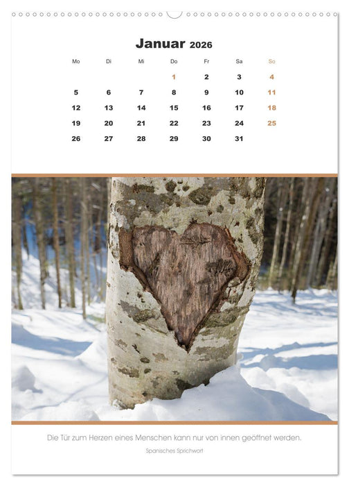 Attraktive Herzmotive 2026 (CALVENDO Wandkalender 2026)
