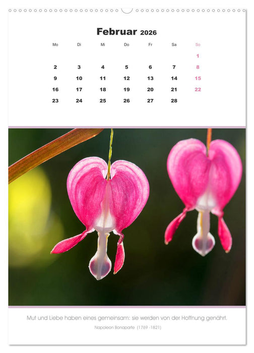 Attraktive Herzmotive 2026 (CALVENDO Wandkalender 2026)