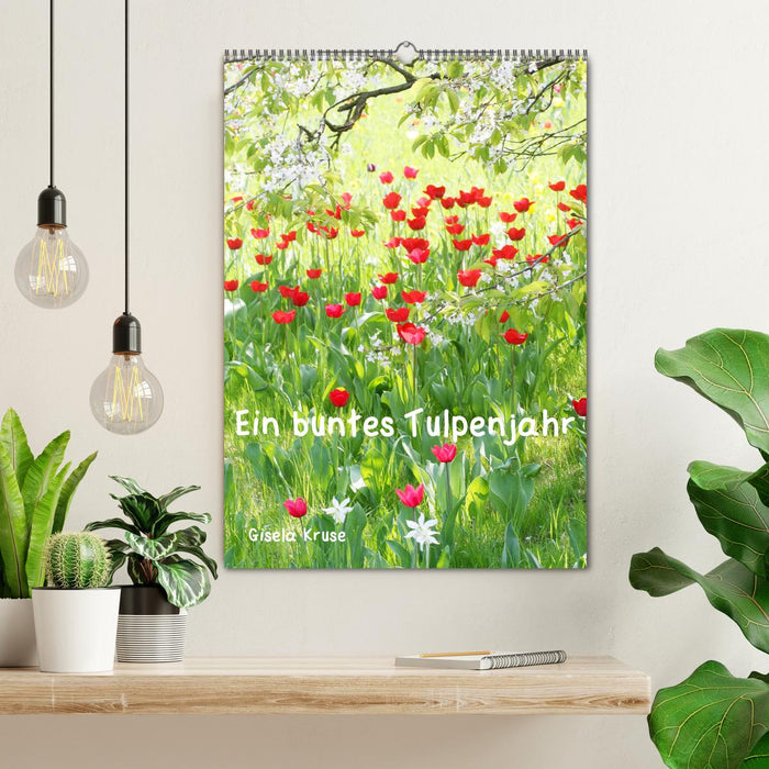 Ein buntes Tulpenjahr (CALVENDO Wandkalender 2026)