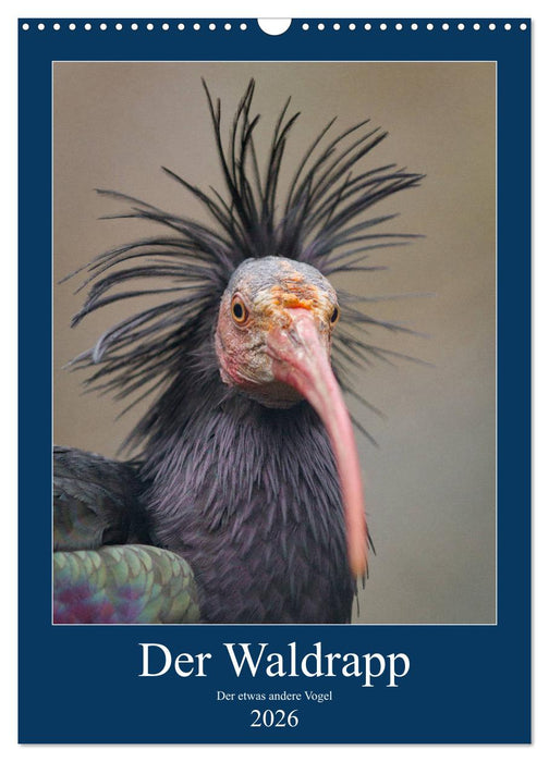Der Waldrapp - Der etwas andere Vogel (CALVENDO Wandkalender 2026)