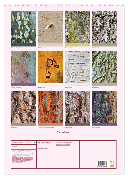Baumhaut (CALVENDO Wandkalender 2026)