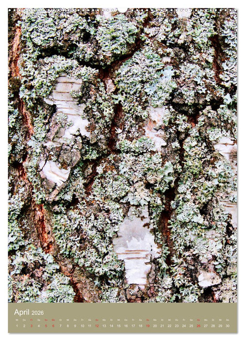 Baumhaut (CALVENDO Wandkalender 2026)